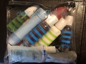Clear Travel Bag